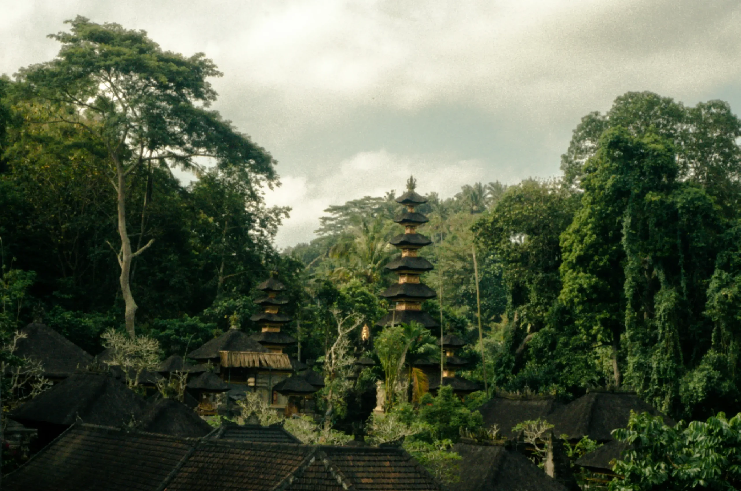Tour Image
