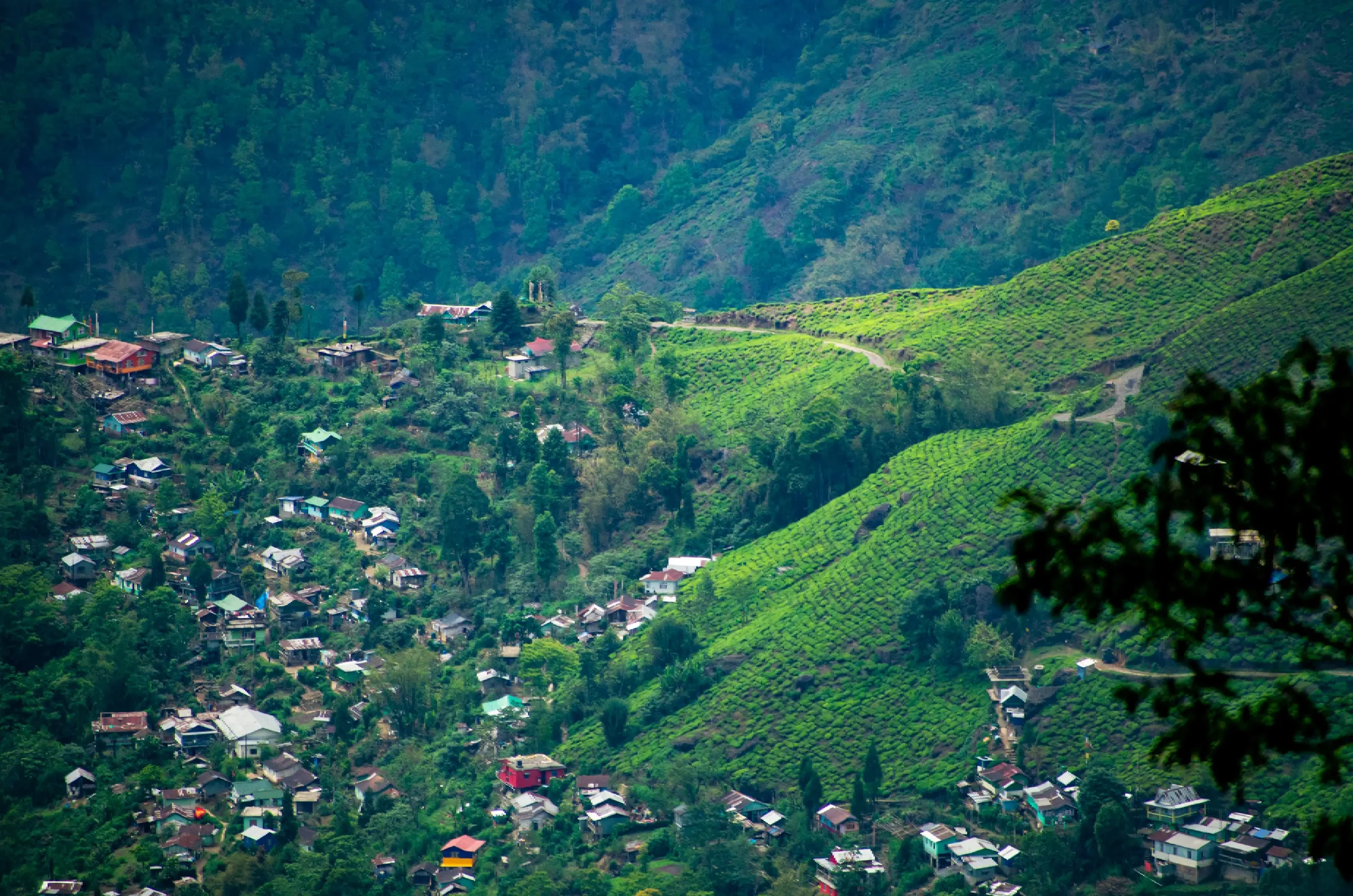 Tour Image