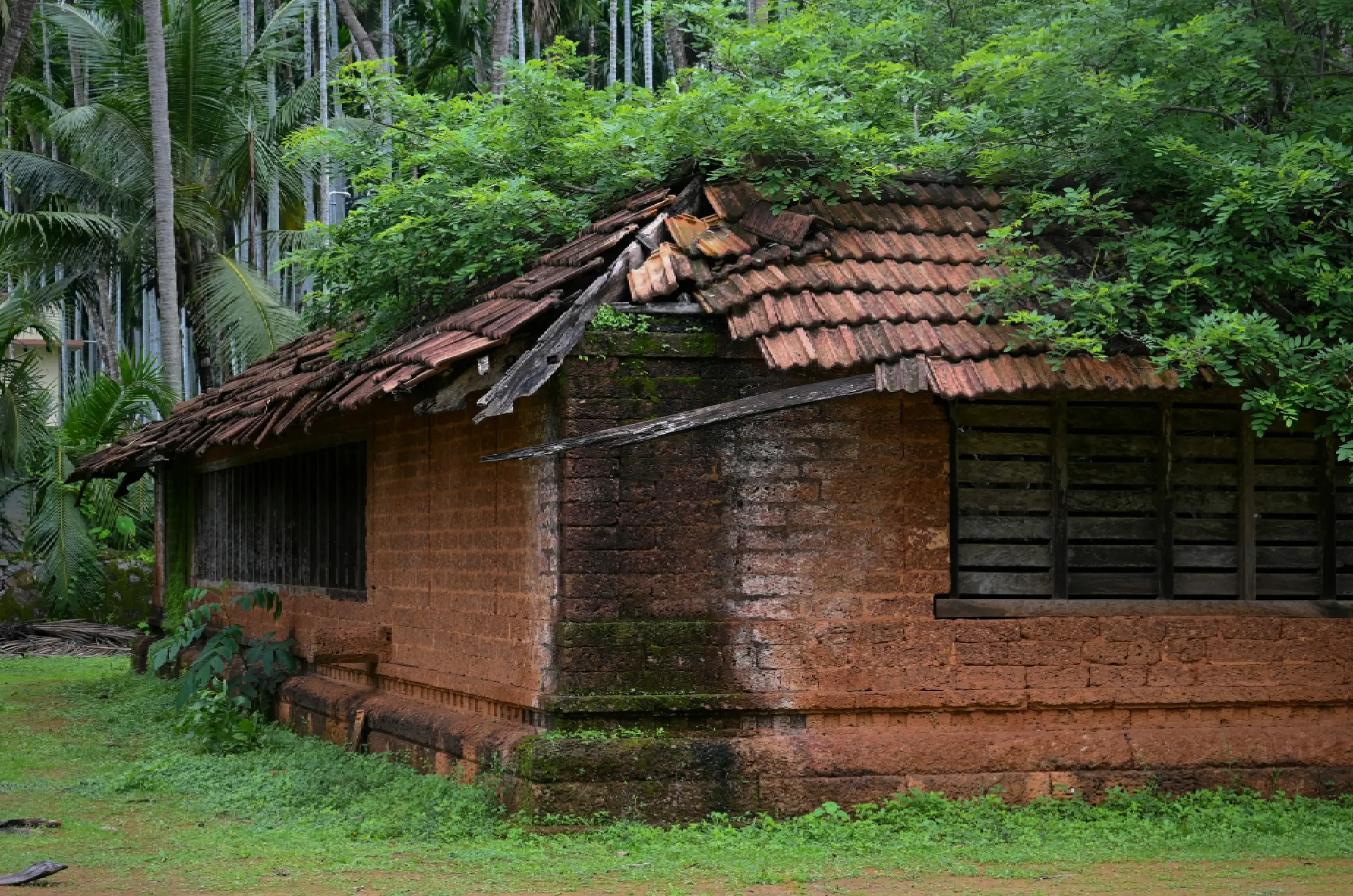 Tour Image